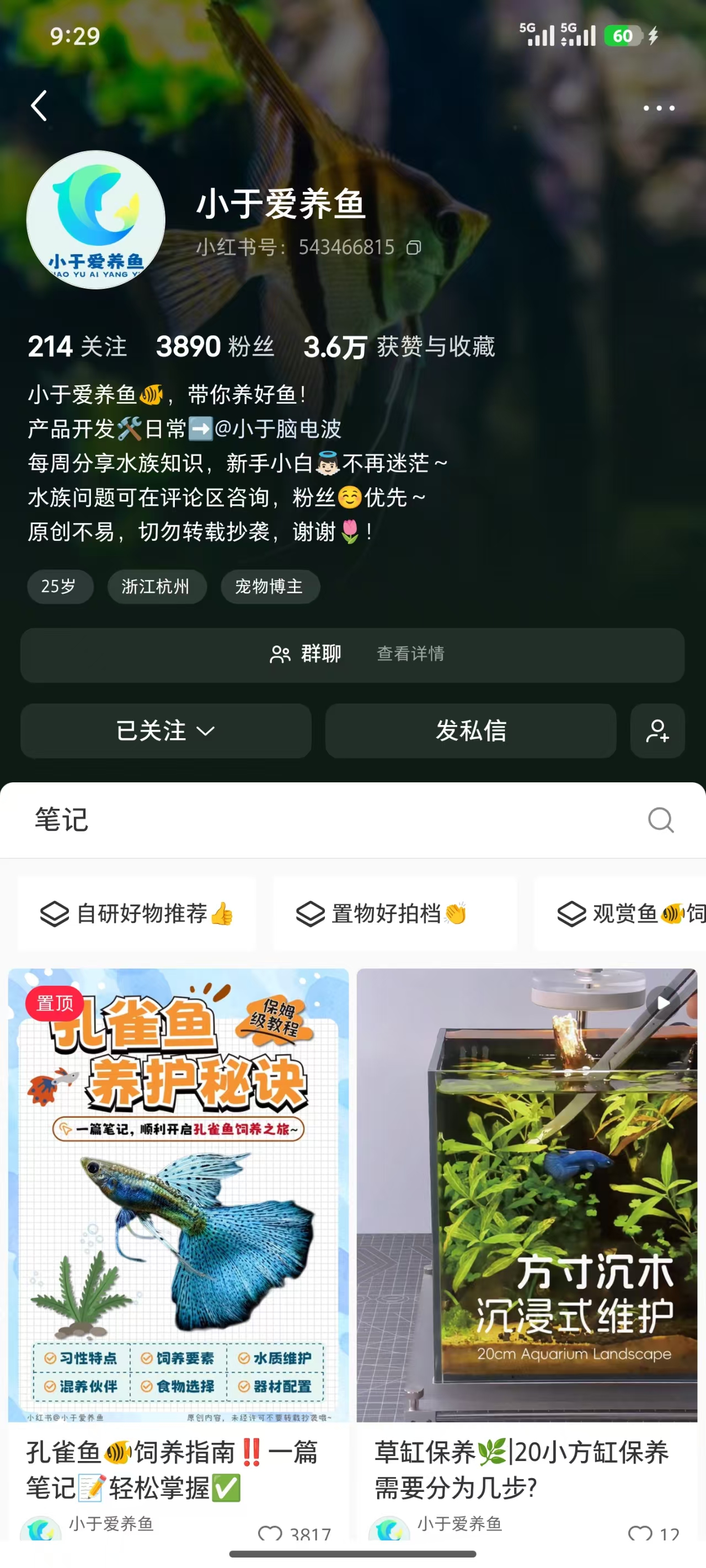 鱼悦 YUMO OPERATION 运营