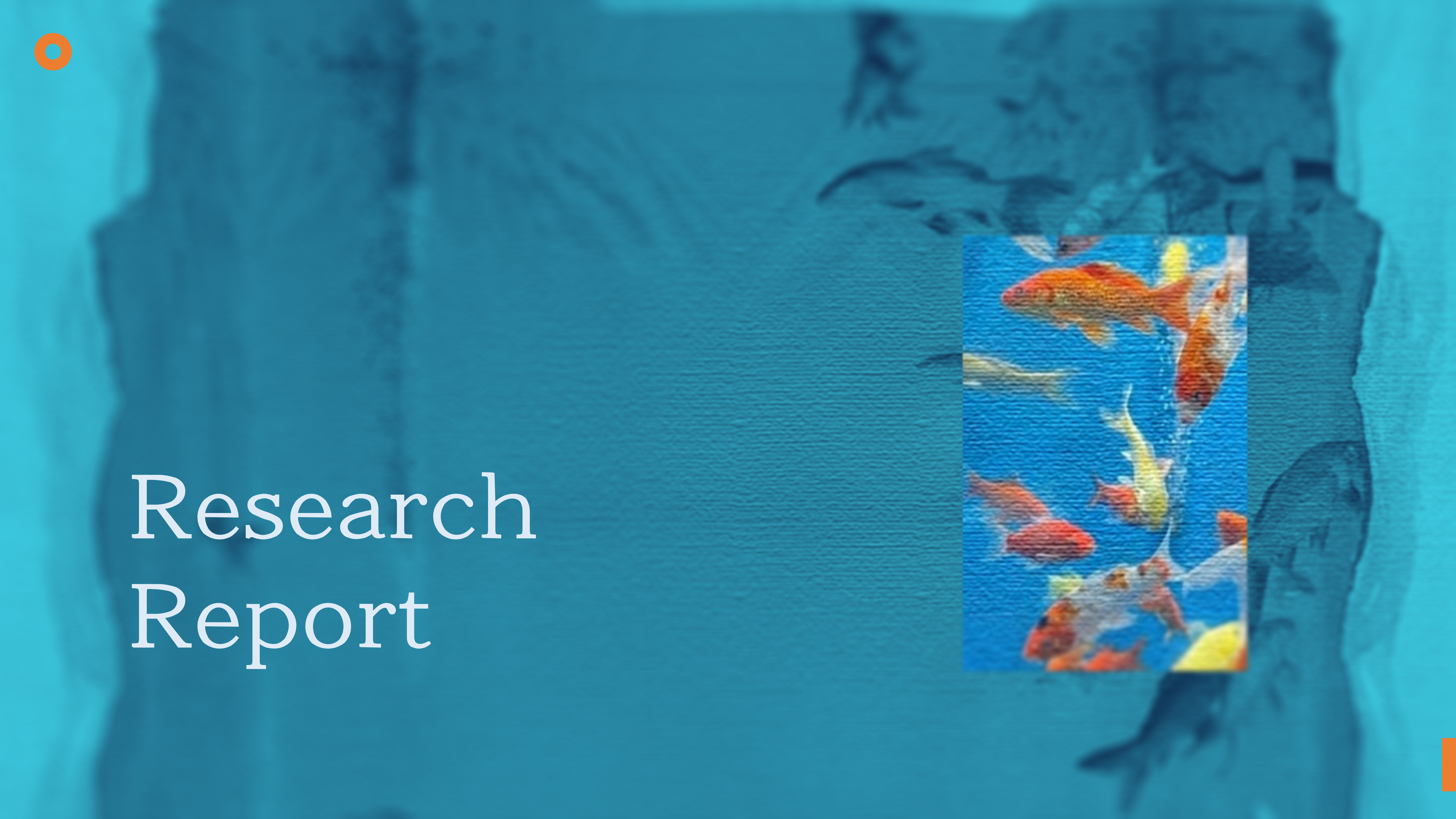 鱼悦 YUMO RESEARCH 调研