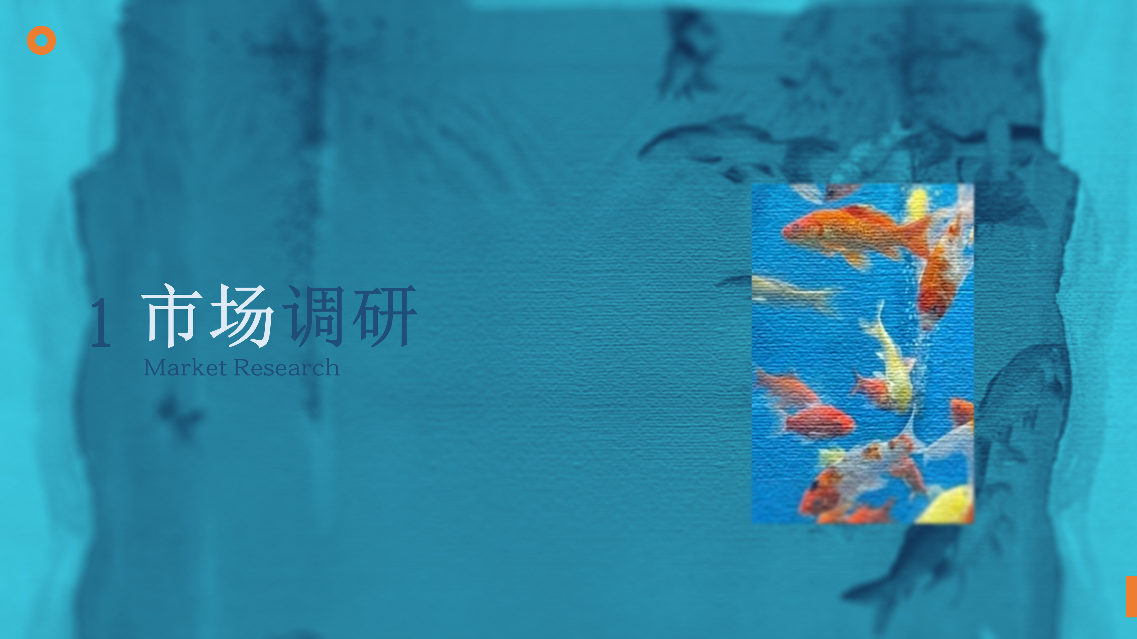 鱼悦 YUMO RESEARCH 调研