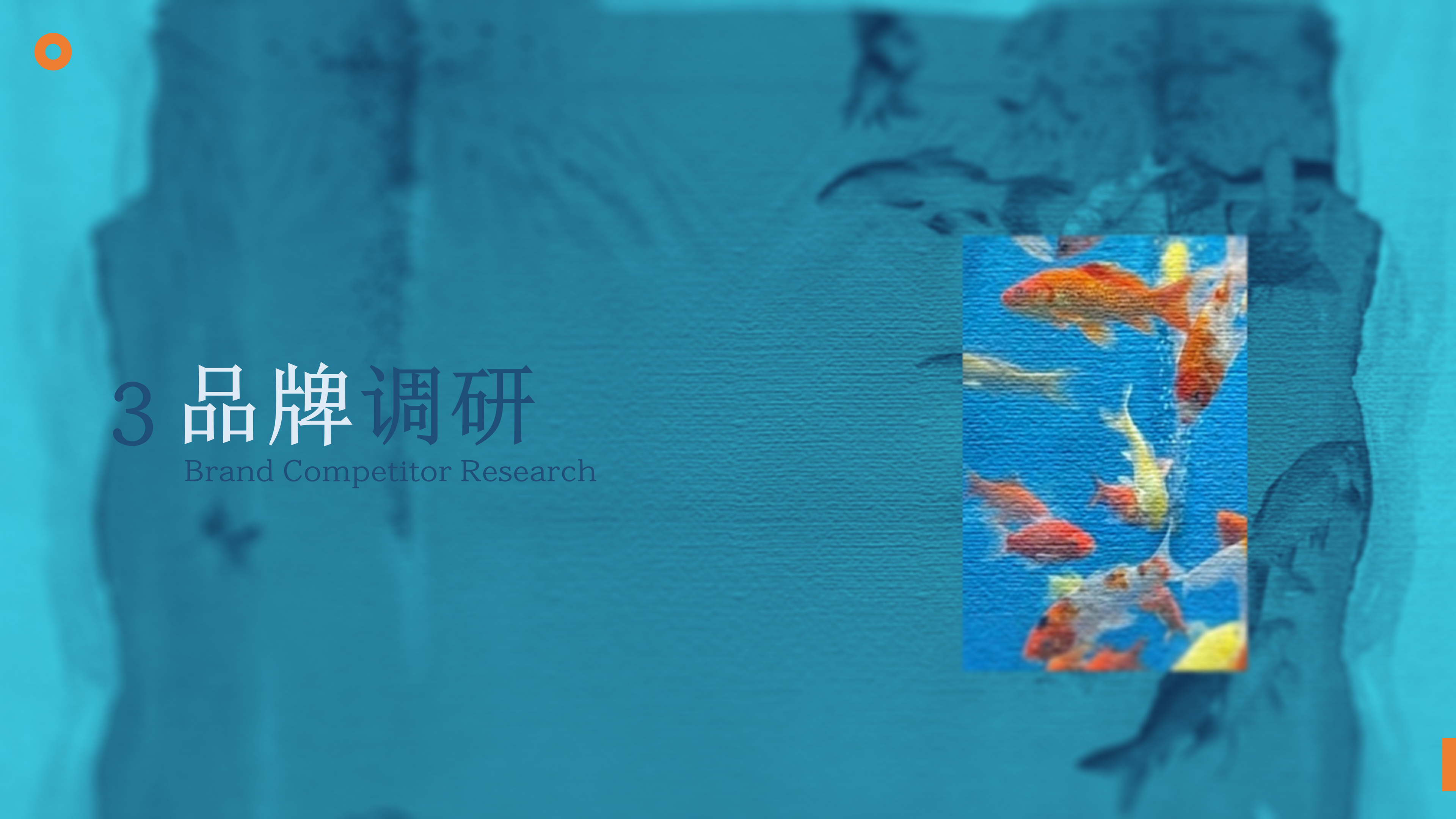 鱼悦 YUMO RESEARCH 调研