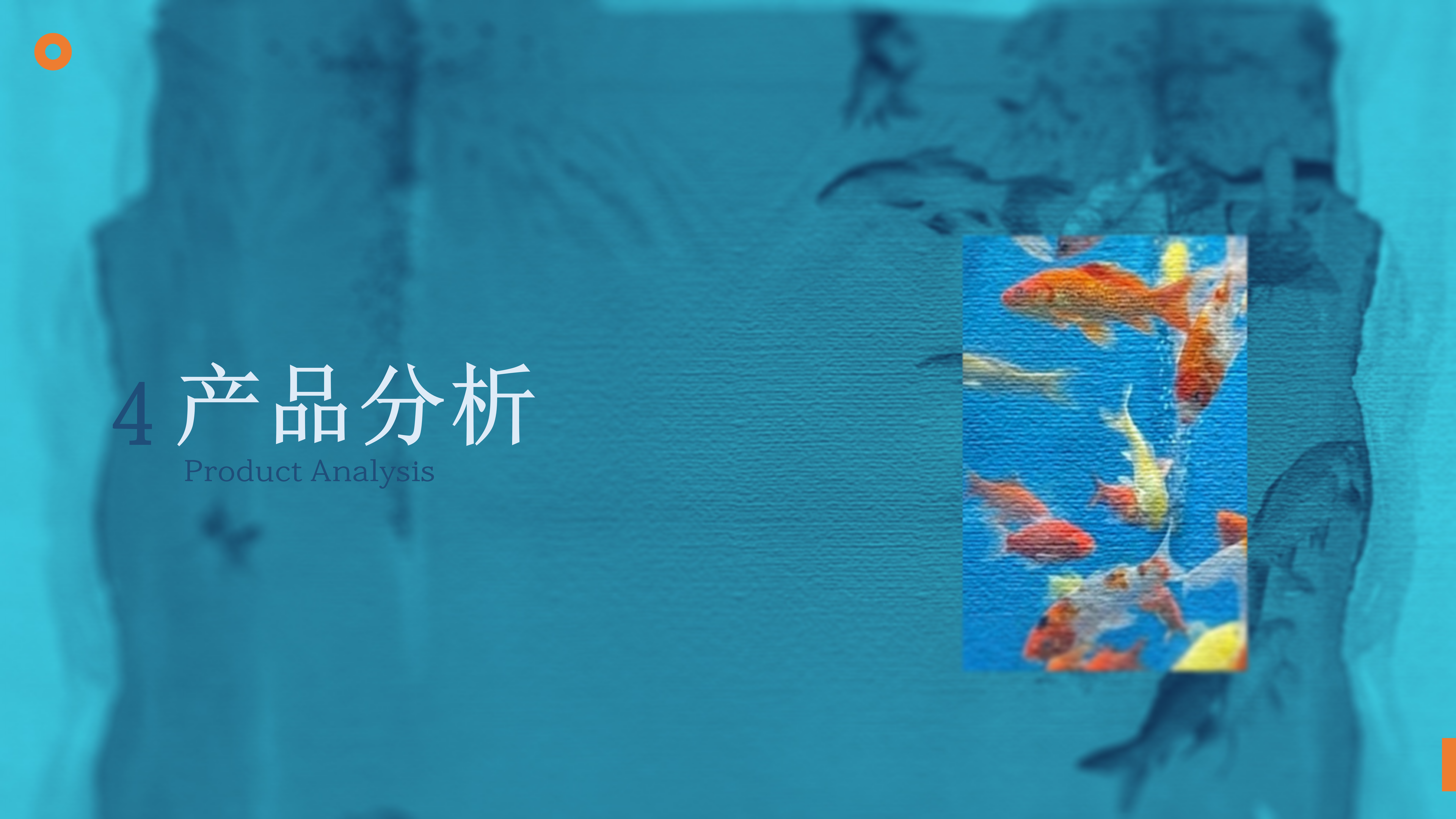 鱼悦 YUMO RESEARCH 调研