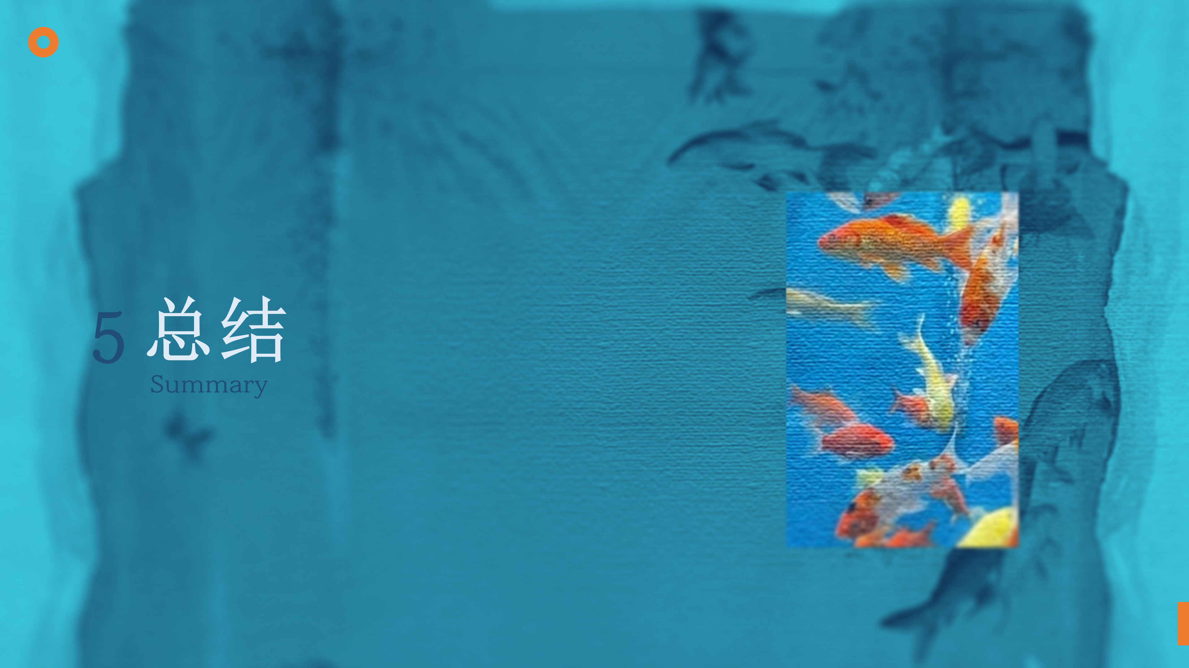 鱼悦 YUMO RESEARCH 调研
